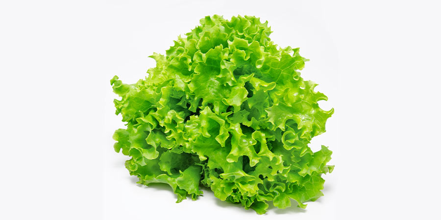 Image of Lettuce - protected
